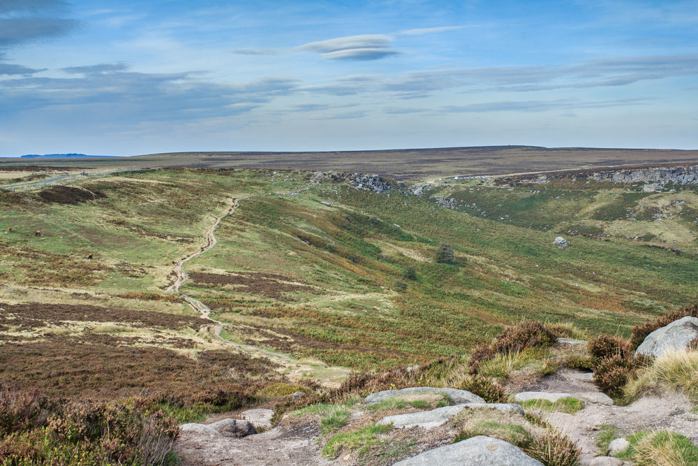 Fiddler's Elbow